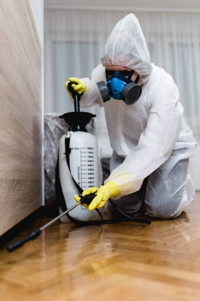 Best Bed Bug Extermination  in Chadwicks, NY